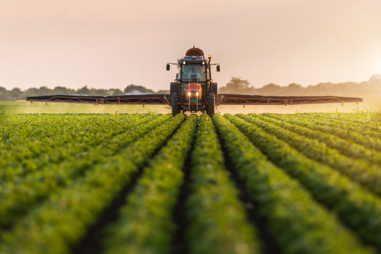 Agriculture & Agribusiness