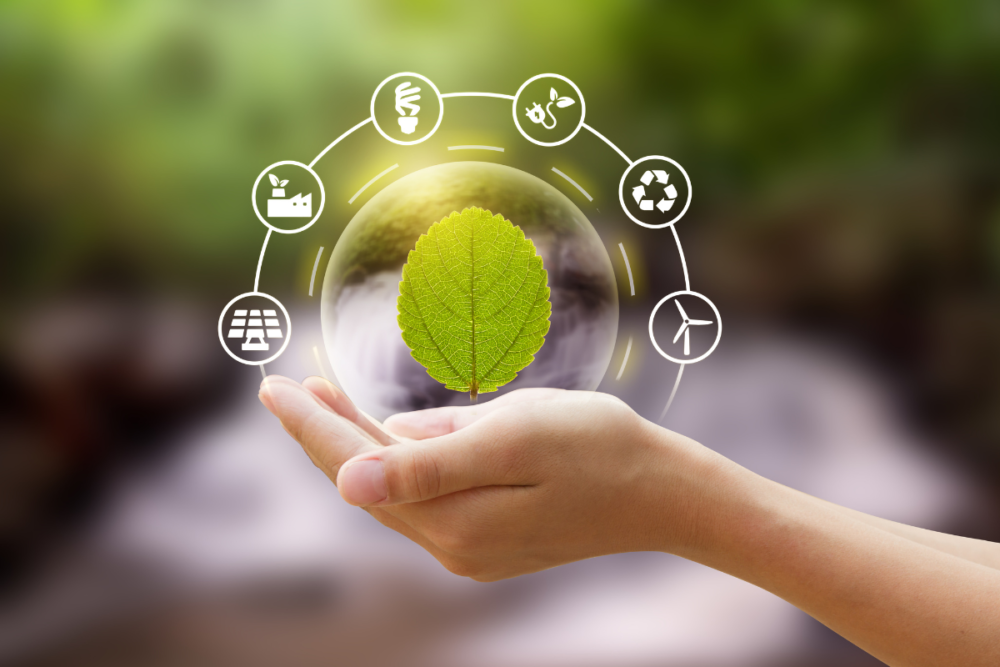 Sustainable Procurement Policy