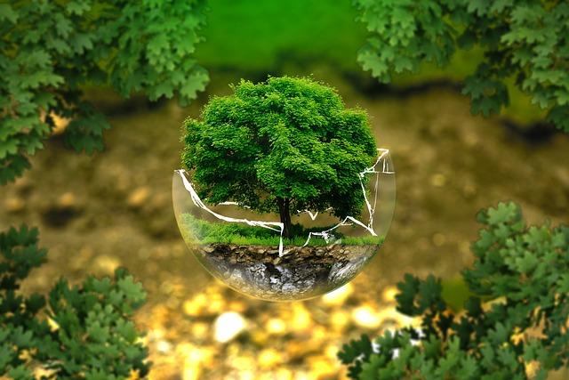 Climate Change Policy